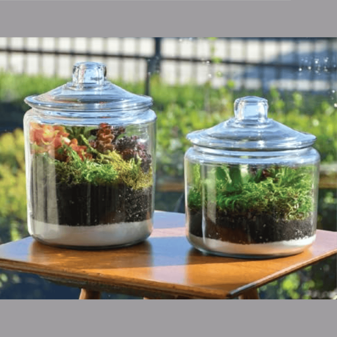 Glass Storage Jars