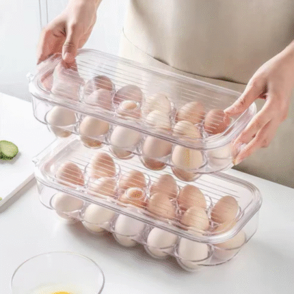 16 Grid Egg Holder with Handle and Lid