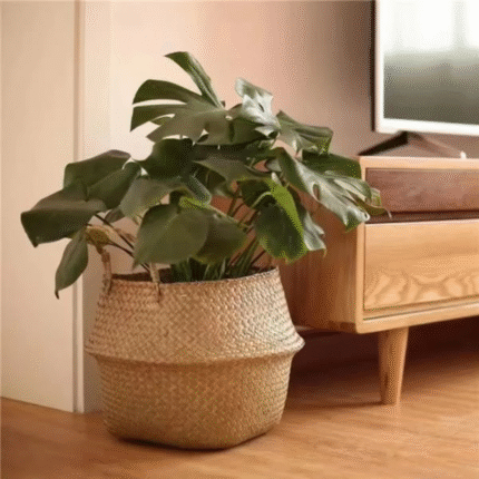 Rattan Storage Basket