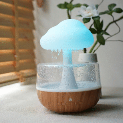 Rain Cloud Humidifier