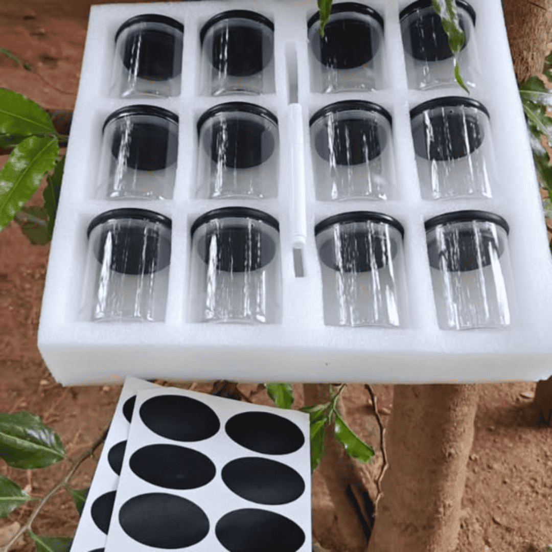 12pcs Glass Spice Jar Set with Black Bamboo Lids