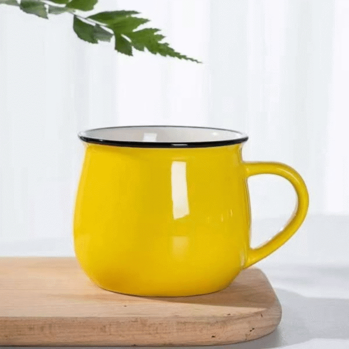 6pcs Ceramic Pot Mugs