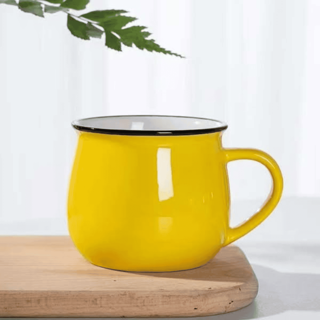 6pcs Ceramic Pot Mugs