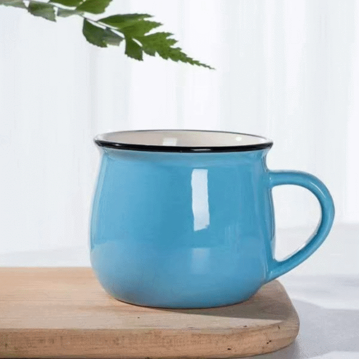 6pcs Ceramic Pot Mugs