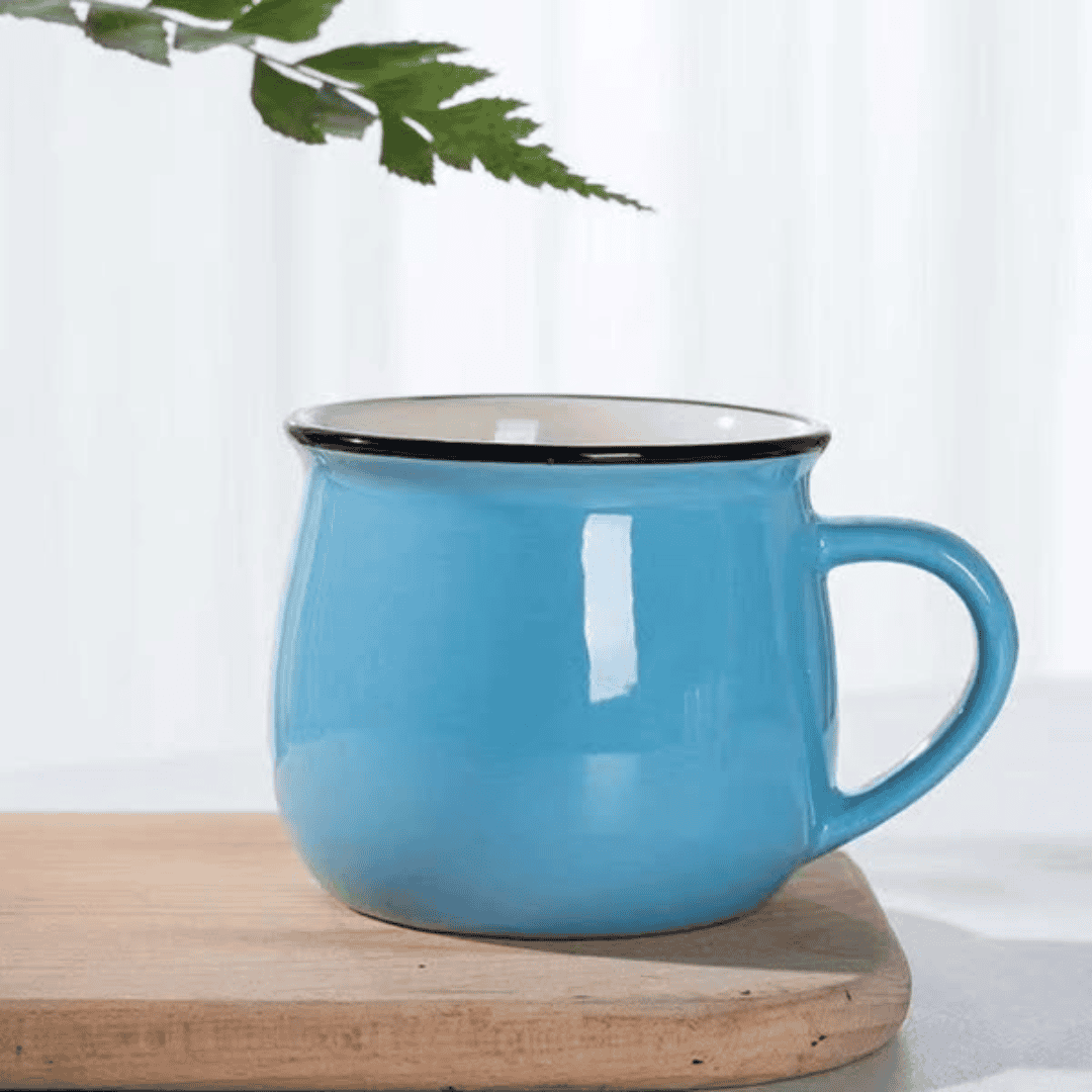 6pcs Ceramic Pot Mugs