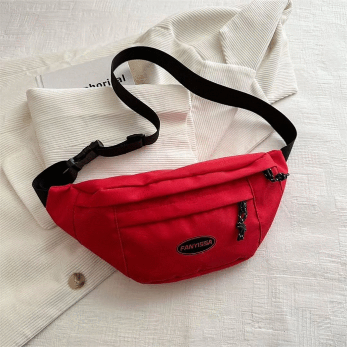 Fanny Pack / Cross Body / Waist Travel Bag