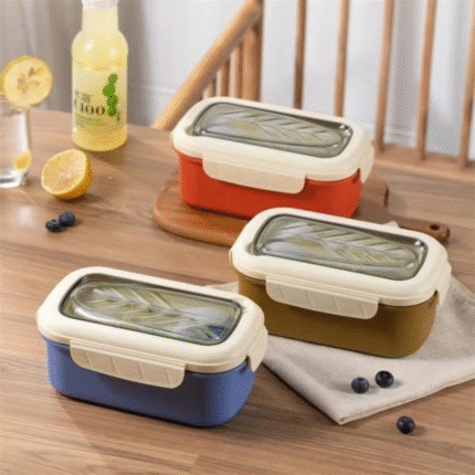Kids Snack Box with Compartments