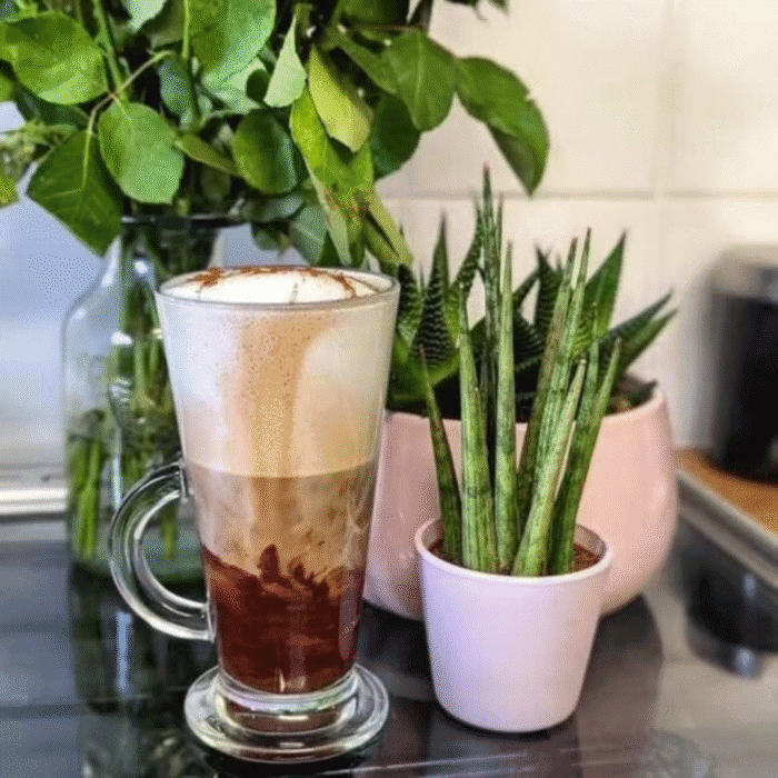 6Pcs Latte/Irish Glass Mug Set