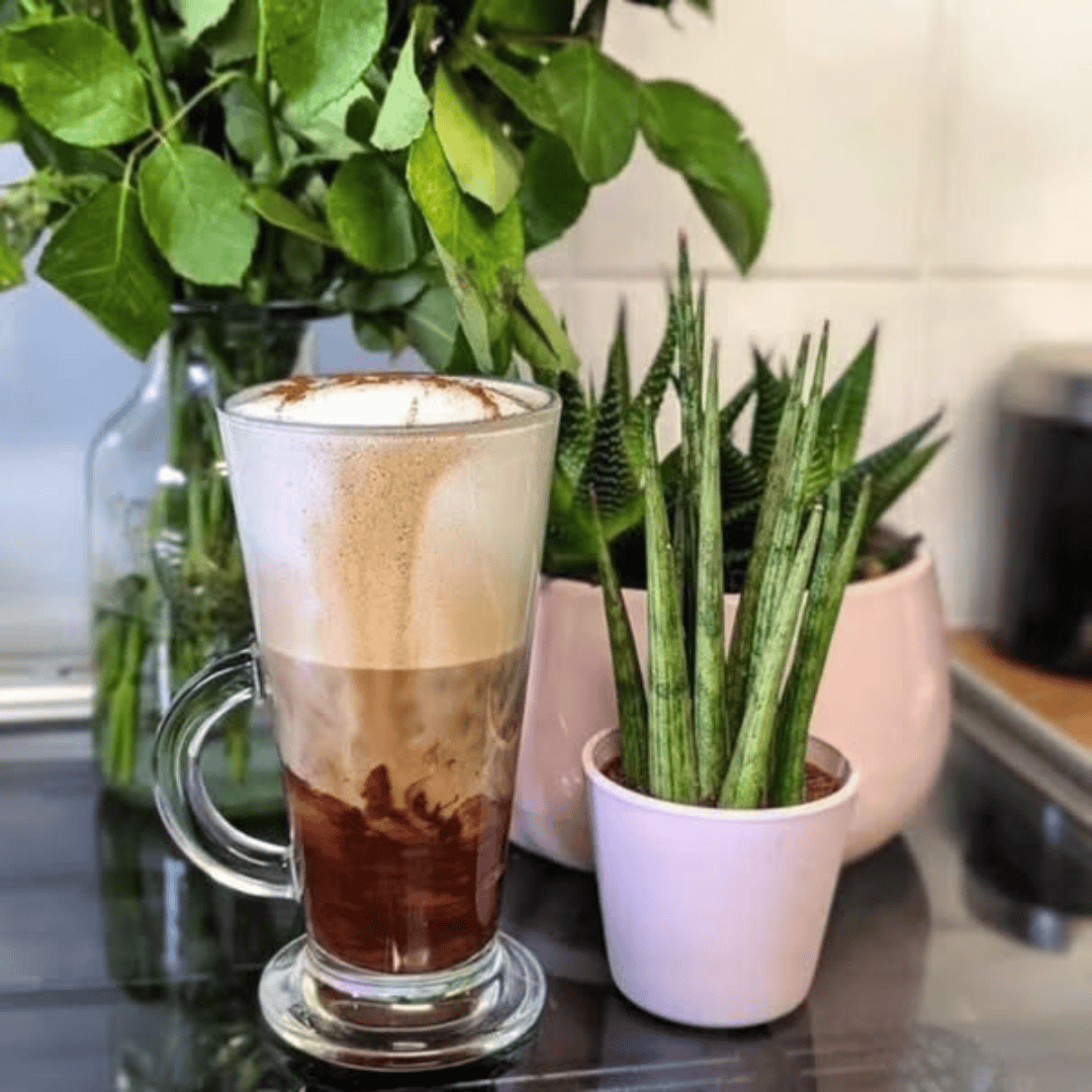 6Pcs Latte/Irish Glass Mug Set