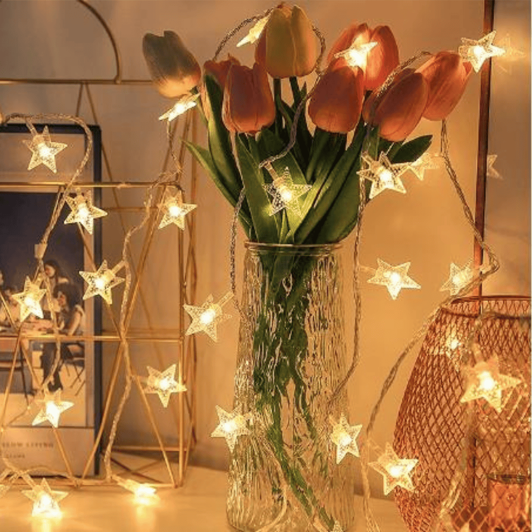 Star Shaped Christmas Lights