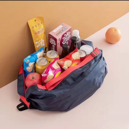 Foldable Travel or Shopping Bag