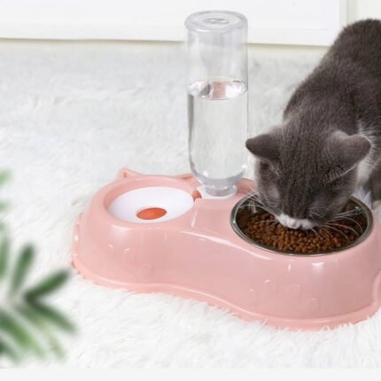 Automatic Pet Feeding Bowl with Water Dispenser