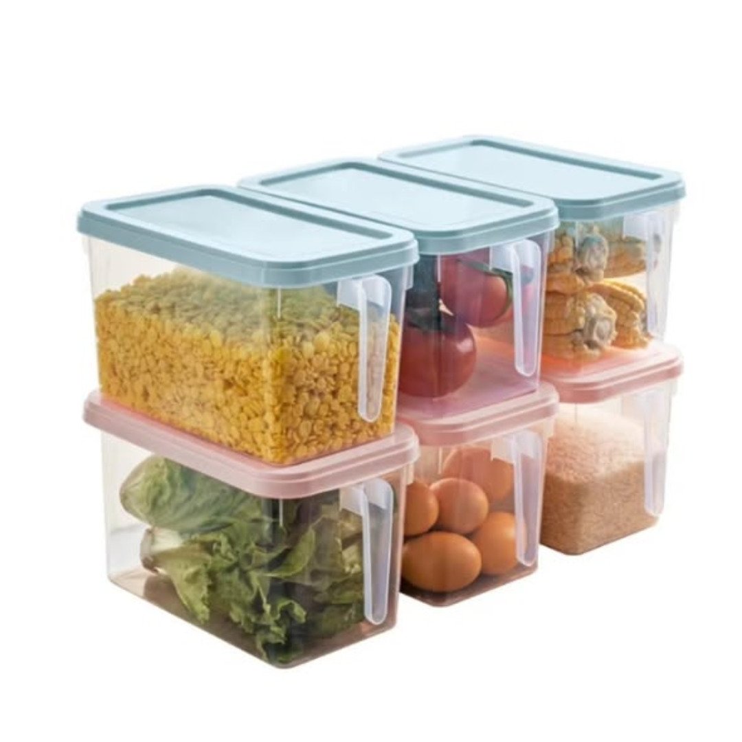 Food Storage Container with handle