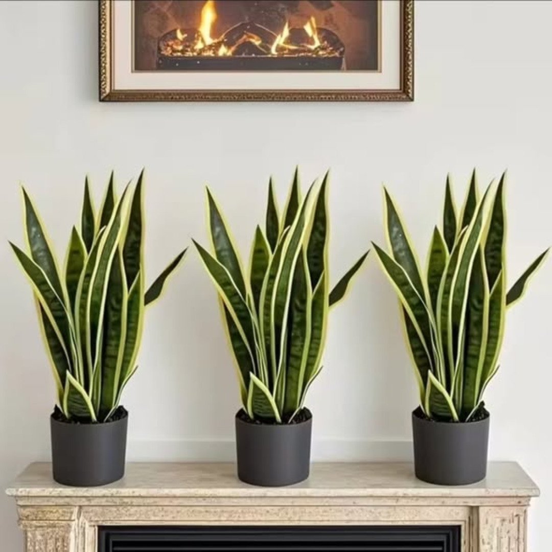 Real Touch Yellow Sansevieria