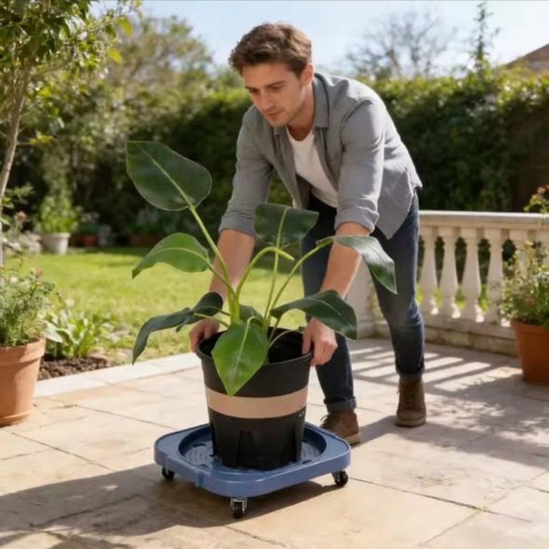 Heavy duty multipurpose / gas trolley