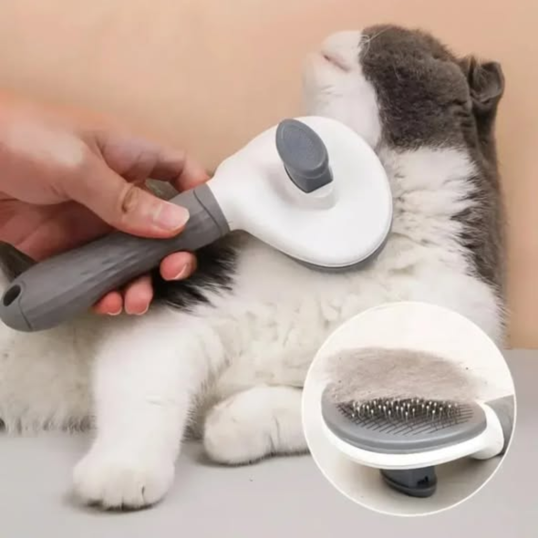 Cat and Dog Grooming Brush