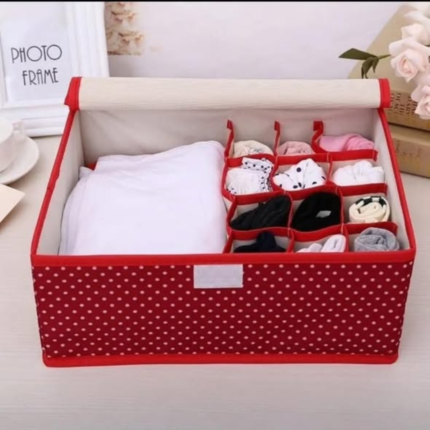 13 Grid Undergarment Organizer