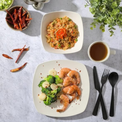 24pc square plain dinner plate