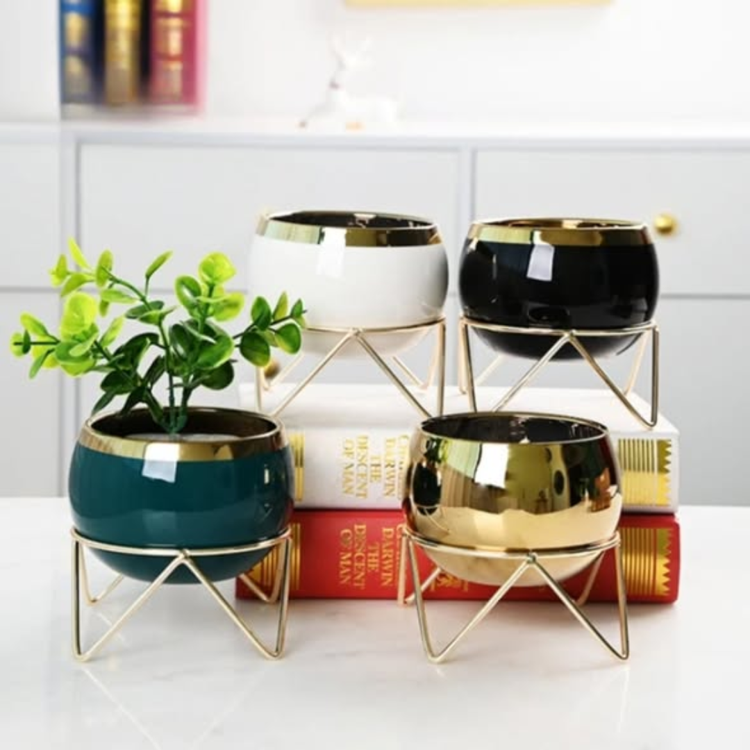 Nordic Succulent Plant Flower pot