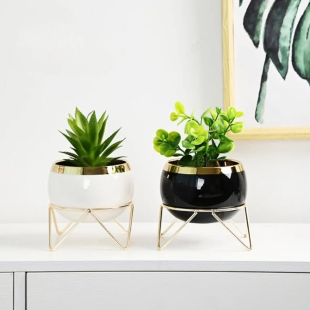 Nordic Succulent Plant Flower pot