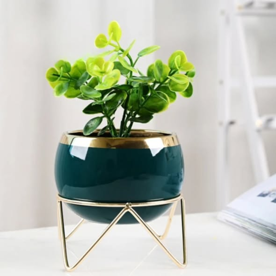Nordic Succulent Plant Flower pot