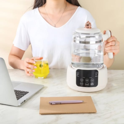 Temperature Regulating Kettle