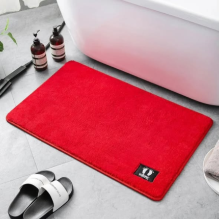 Antslip and absorbent door mats