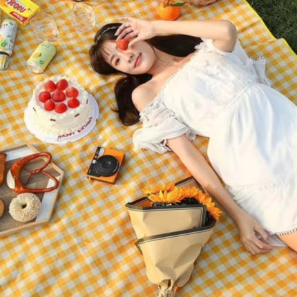 Waterproof Outdoor Picnic mat