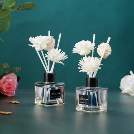 Aroma Oil Diffuser Set