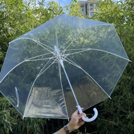 Transparent Umbrella