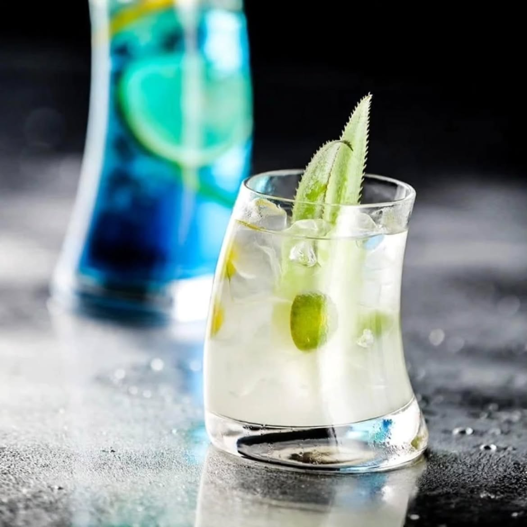 6 Pcs Penguin Curved Glass Set